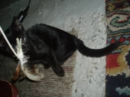 images (6)