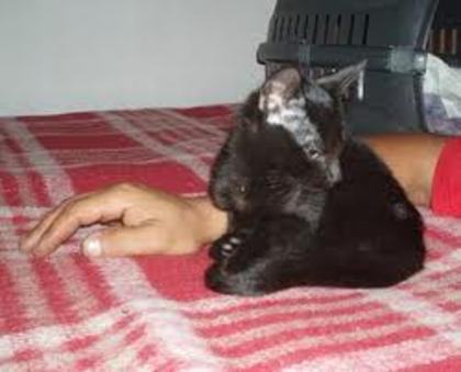 images (7)