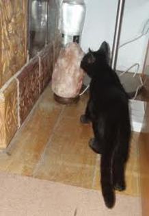 images (8)