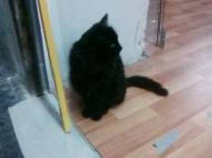 images (16)