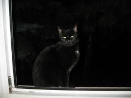 images (20)