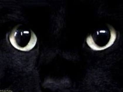 images (21)