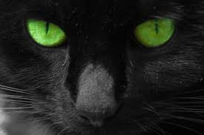 images (22)