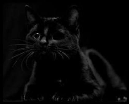 images (32)