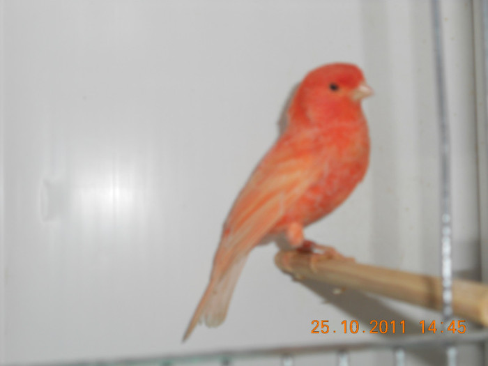 DSCN0760