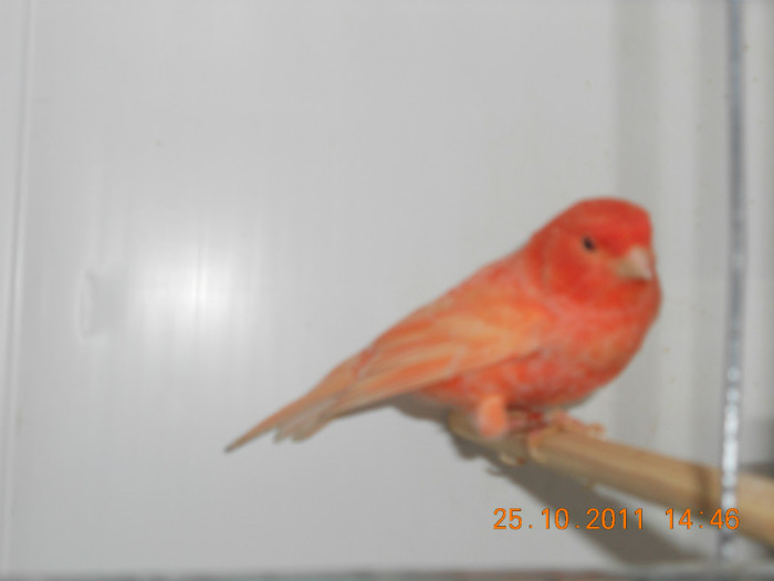 DSCN0761