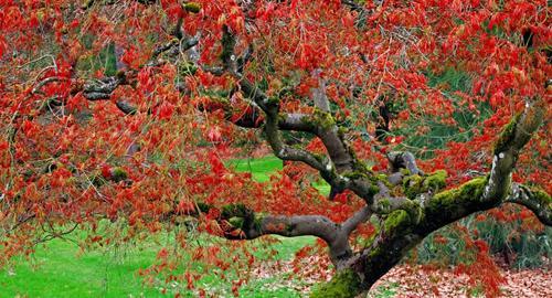 medii-fotografii-wallpapers-imagini-desktop-40