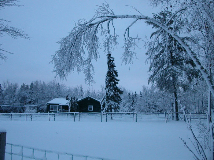 peisaj-de-iarna - Peisaje