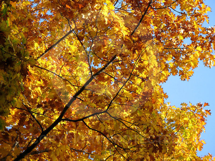 peisaje-natura_19 - Peisaje