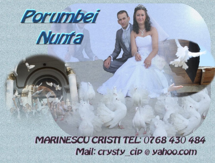 111 - Porumbei albi de inchiriat pt nunti 0768430484