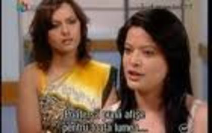 images (17) - In cautarea fericirii