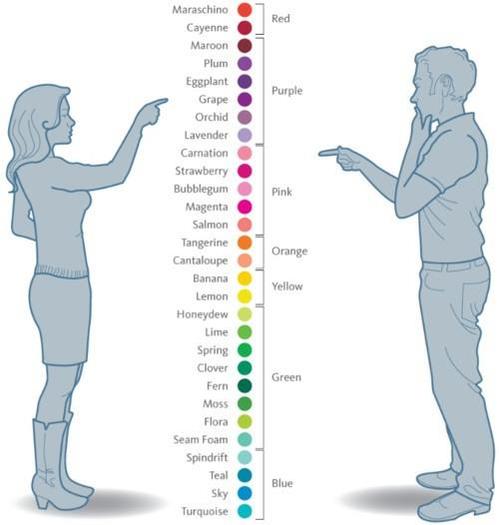 culorile vs viata