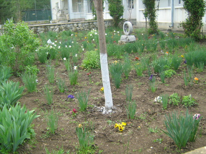 gradina unei biserici