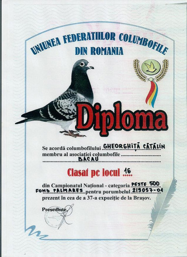 Foto-diploma-RO-219057-2001-3