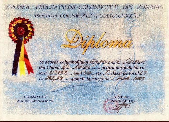 Foto-diploma-RO-219057-2001-1