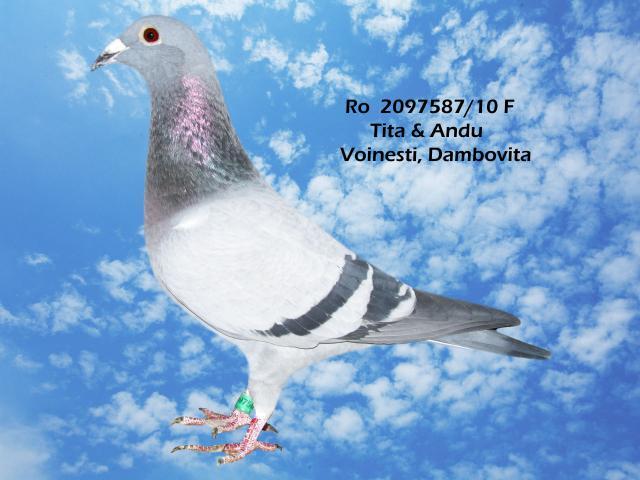 ro-2097587-10-f-1