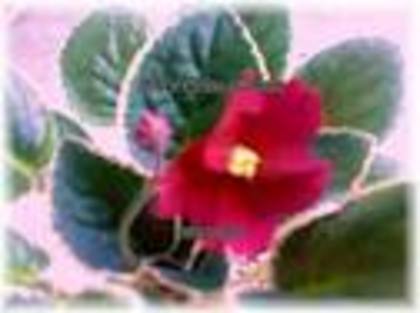 yi8 - poze artistice sunphoto