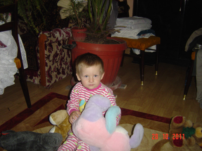 poze 066