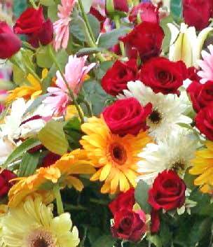 mothers-day-flowers.jpg.pagespeed.ce.BN9Gn4lM_r