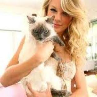 images - taylor swift