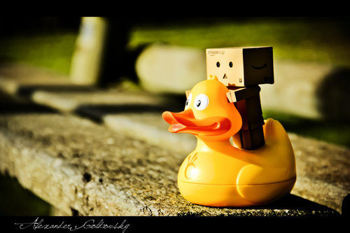 danbo_and______a_duck_by_whispering_legacy-d39mfo0_large - cutiuta draguta