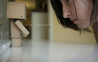 danboard_24_large - cutiuta draguta