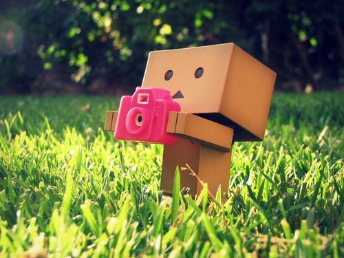 Danbo_with_Camera_Wallpaper_irvh5_large