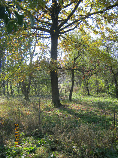 29 oct 2011 002