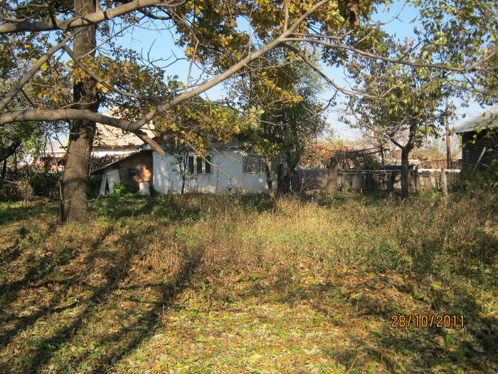 29 oct 2011 003