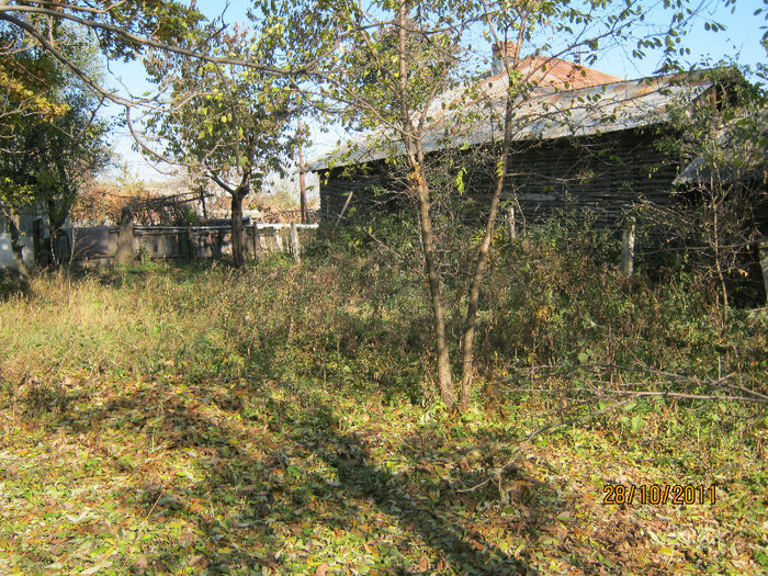 29 oct 2011 004