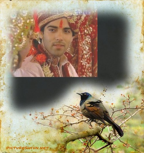 30470_101729343_13198936081 30470_101729343_13198936081