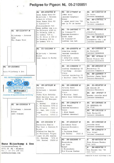 LADY CARRERA -EIJERKAMP1319055514 - PEDIGREE PORUMBEI MATCA