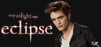 images - twilight