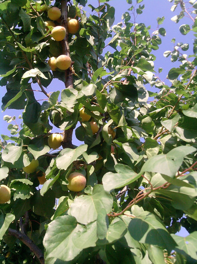 Copy (4) of P080711_18.10