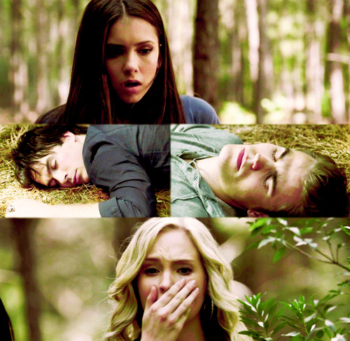 caroline-damon-elena-stefan-the-cw-the-vampire-diaries-Favim.com-47954