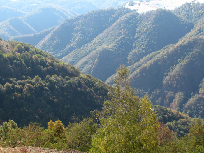 IMG_3755 - Transalpina Octombrie 2011