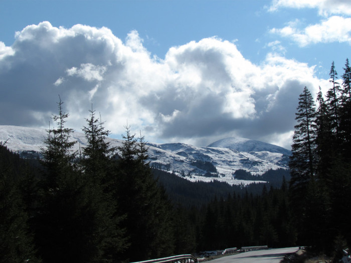 IMG_3777 - Transalpina Octombrie 2011