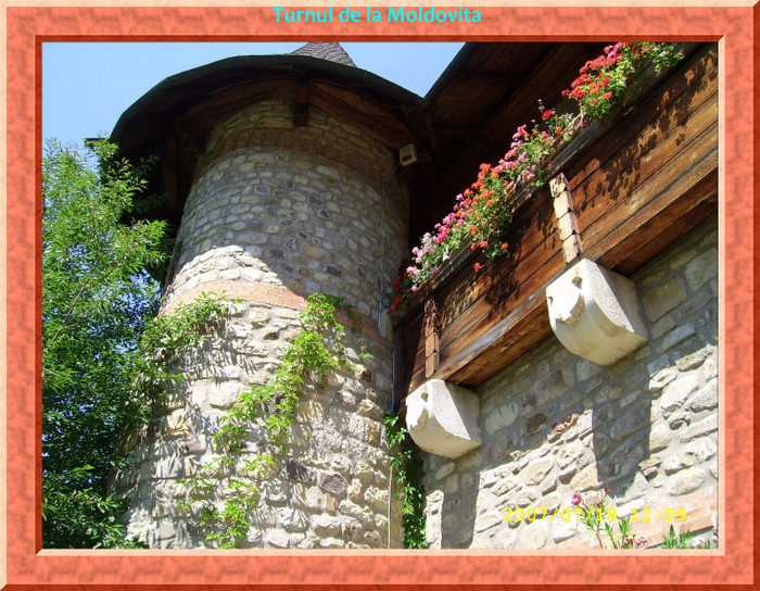 31. Manastirea Moldovita (5)