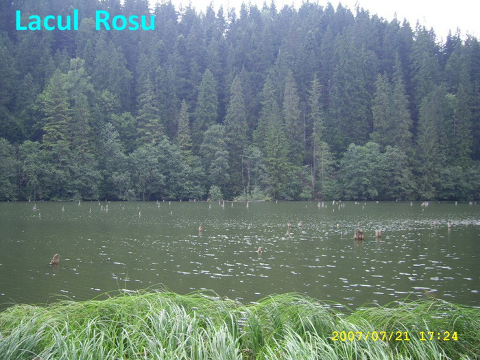 111. Lacul Rosu (1)