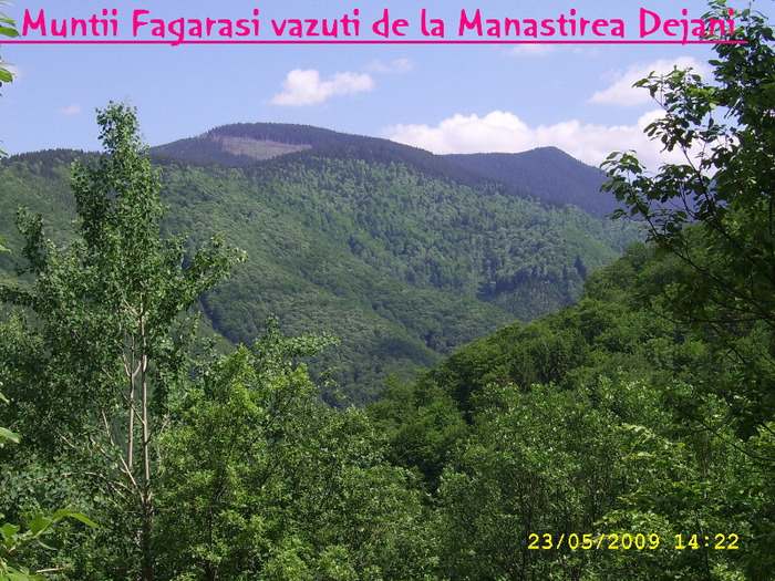 33. Muntii Fagarasi vazuti din Dejani