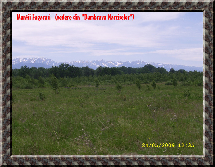 94. VAD - Muntii Fagarasi vazuti din