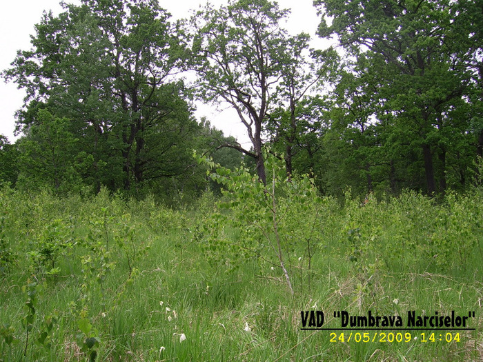 99. VAD - - Fascinanta Romanie - 2