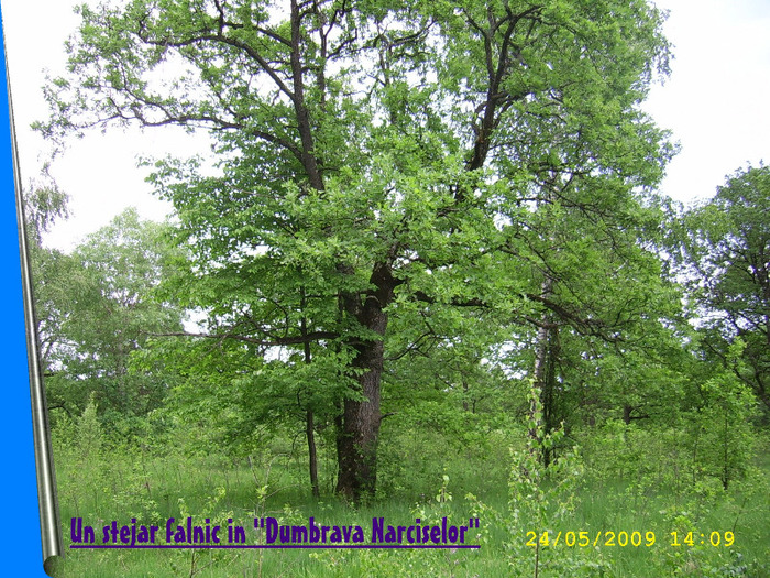 100. VAD - - Fascinanta Romanie - 2