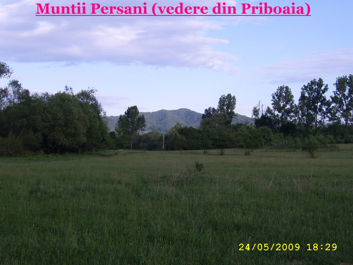 108. SINCA-VECHE (zona Priboaia) - vedere spre Muntii Persani