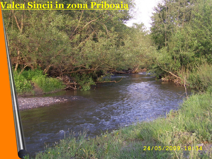 109. Valea Sincii in zona Priboaia
