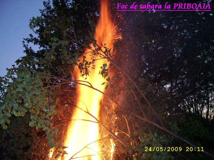 126. Foc de tabara (4)