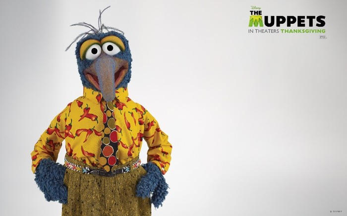 wpaper_gonzo_2_widescreen - The Muppets