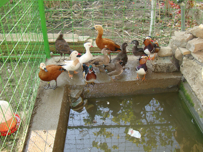 DSC05563