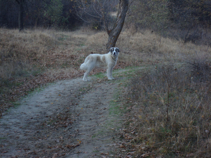 DSC01902; Braduta 1an
