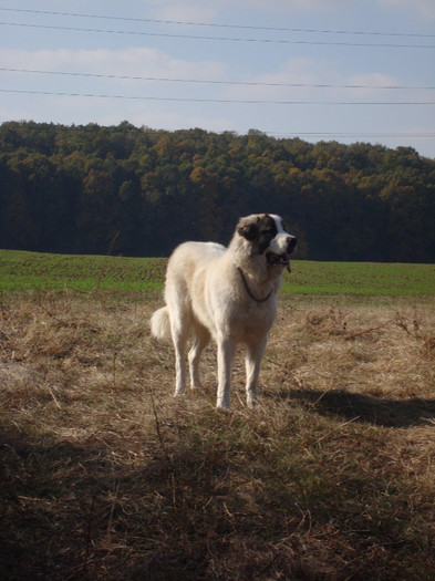 DSC01904; Braduta 1 an
